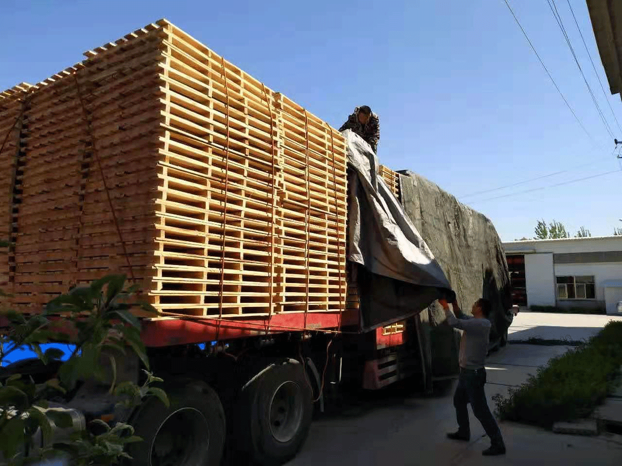 安徽阜阳某建材公司专属设计木质托盘